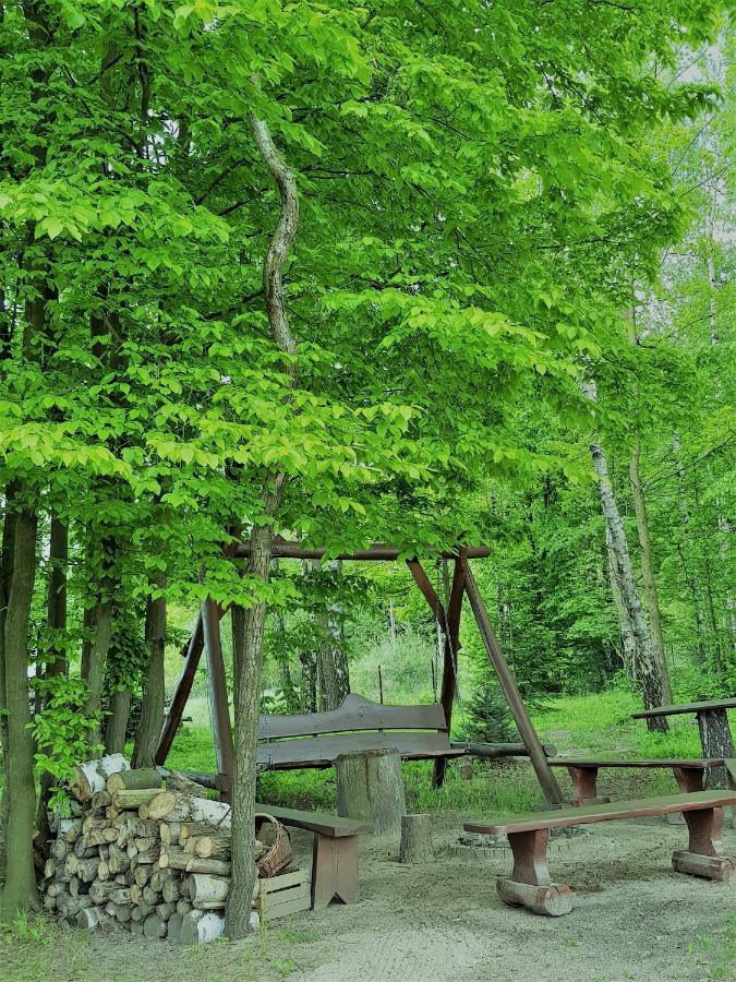 Agroturystyka "Pod Lysica" Swieta Katarzyna (Swietokrzyskie) Exterior foto